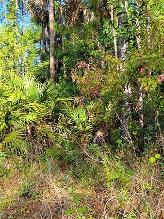 1.59 Acres of Residential Land for Sale in Naples, Florida