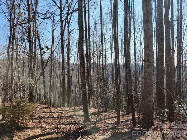 2 Acres of Residential Land for Sale in Old Fort, North Carolina