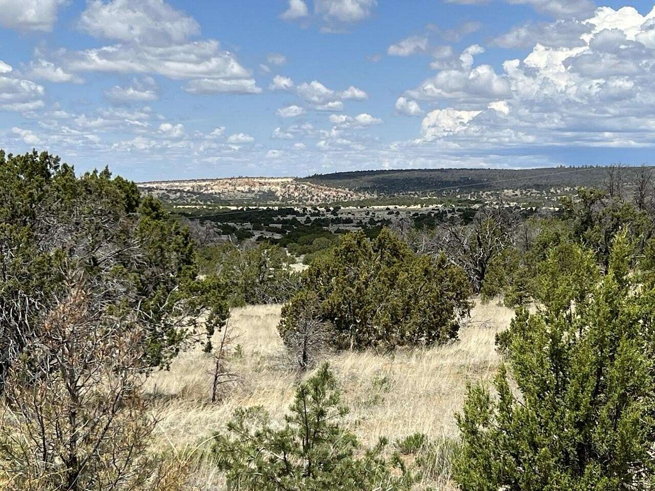 2.5 Acres of Land for Sale in Ramah, New Mexico