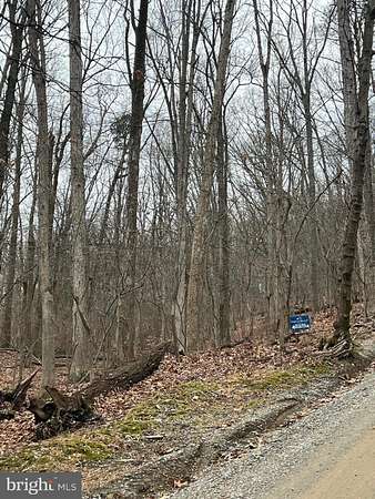 0.16 Acres of Residential Land for Sale in Bluemont, Virginia