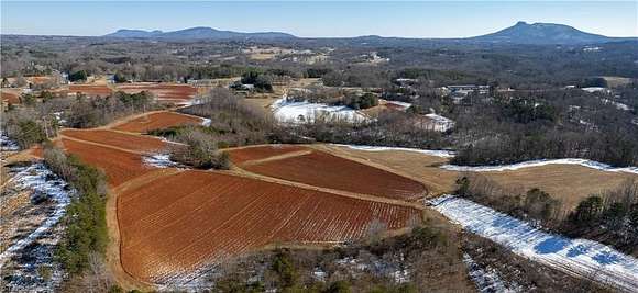 40 Acres of Land for Sale in Pilot Mountain, North Carolina