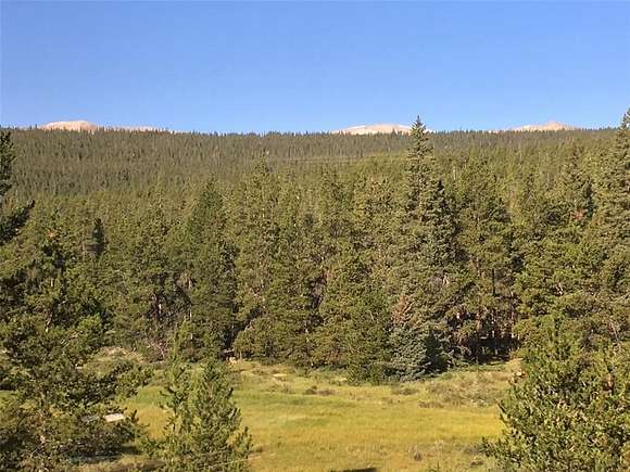 9.5 Acres of Residential Land for Sale in Fairplay, Colorado