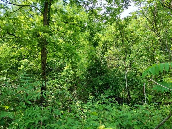 1.75 Acres of Residential Land for Sale in Otsego, Michigan