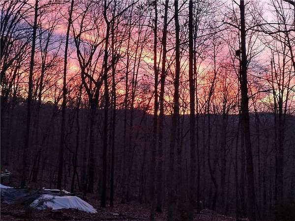 5.4 Acres of Improved Residential Land for Sale in Eureka Springs, Arkansas