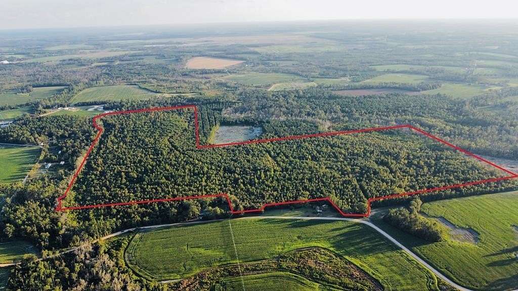 166 Acres of Land for Sale in Hazlehurst, Georgia