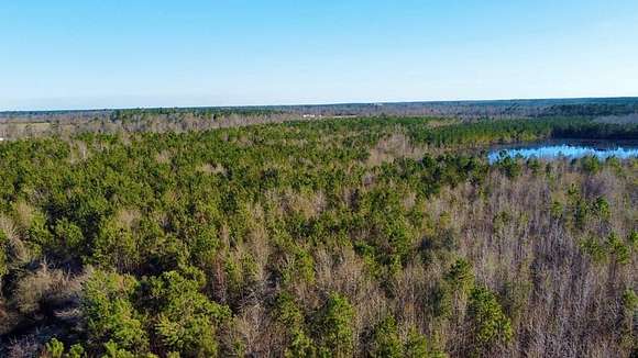 176 Acres of Land for Sale in Hazlehurst, Georgia