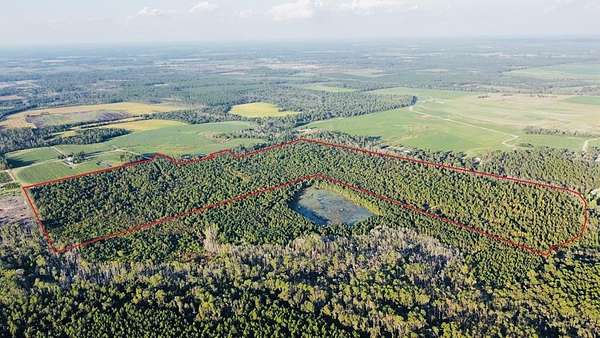 166 Acres of Land for Sale in Hazlehurst, Georgia