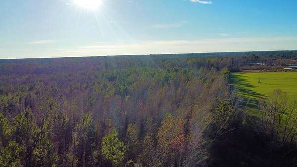 166 Acres of Land for Sale in Hazlehurst, Georgia