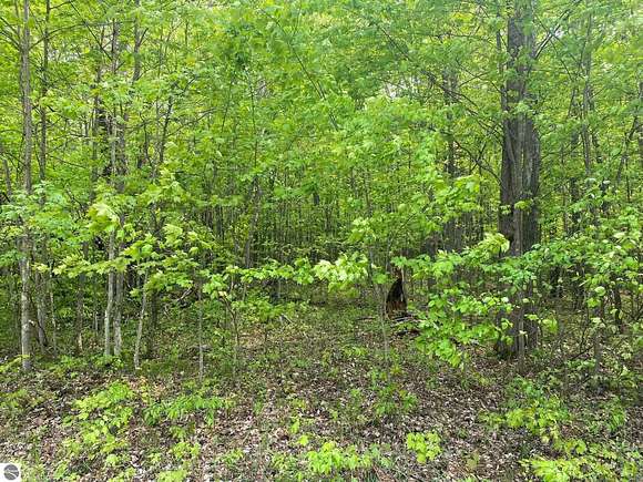 0.39 Acres of Residential Land for Sale in Reed City, Michigan