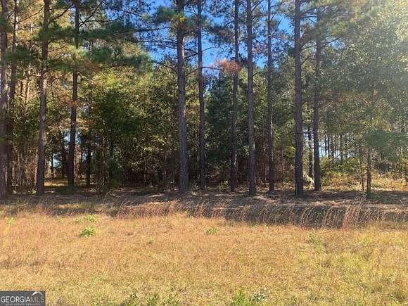 1.06 Acres of Residential Land for Sale in Fort Gaines, Georgia