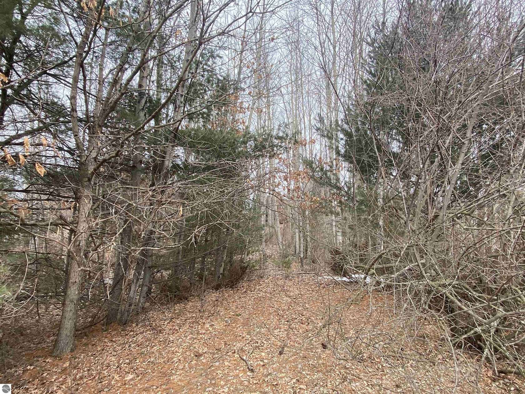 0.65 Acres of Residential Land for Sale in Williamsburg, Michigan