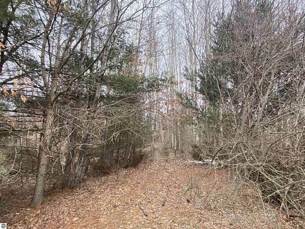0.65 Acres of Residential Land for Sale in Williamsburg, Michigan
