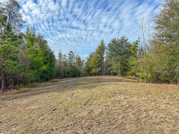 46 Acres of Recreational Land for Sale in Monroeville, Alabama