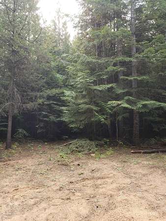 5 Acres of Residential Land for Sale in St. Maries, Idaho