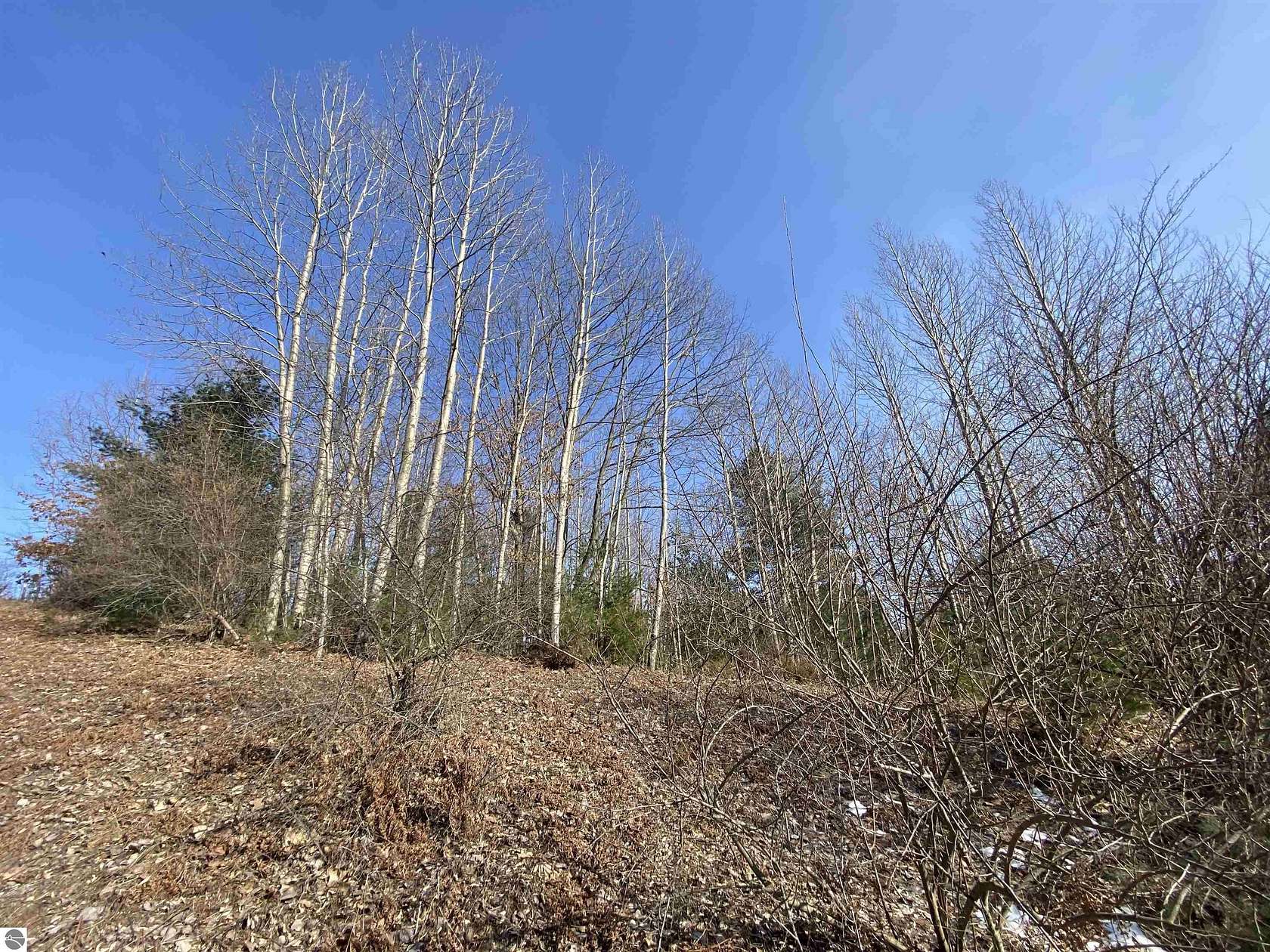 0.4 Acres of Residential Land for Sale in Williamsburg, Michigan