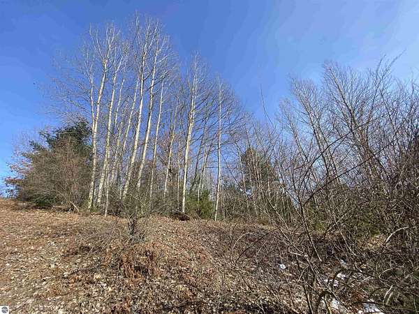 0.4 Acres of Residential Land for Sale in Williamsburg, Michigan
