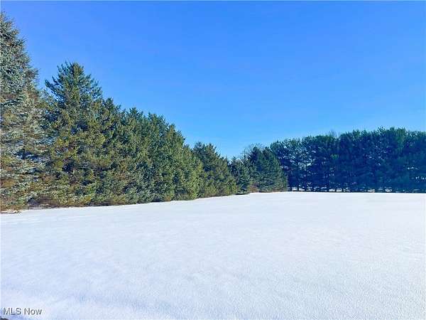 1 Acre of Residential Land for Sale in East Palestine, Ohio