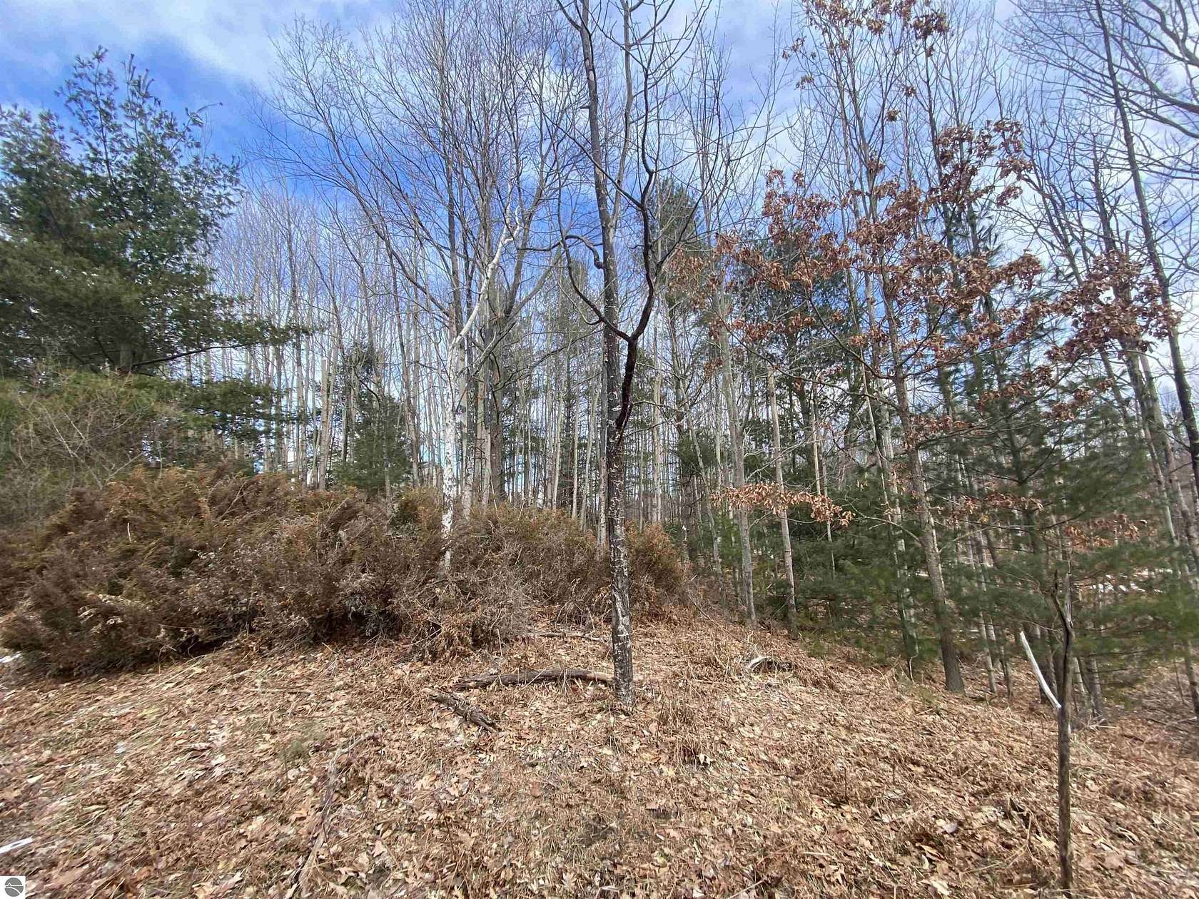 0.48 Acres of Land for Sale in Williamsburg, Michigan