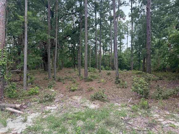 2 Acres of Residential Land for Sale in Brookeland, Texas