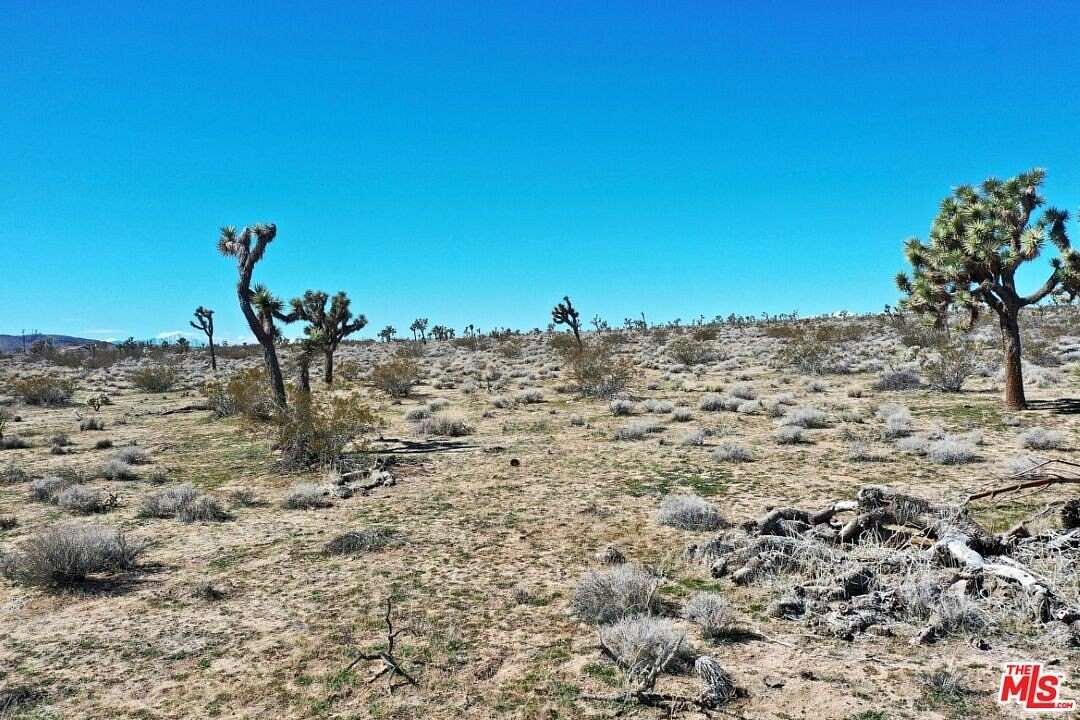 20 Acres of Recreational Land for Sale in Joshua Tree, California