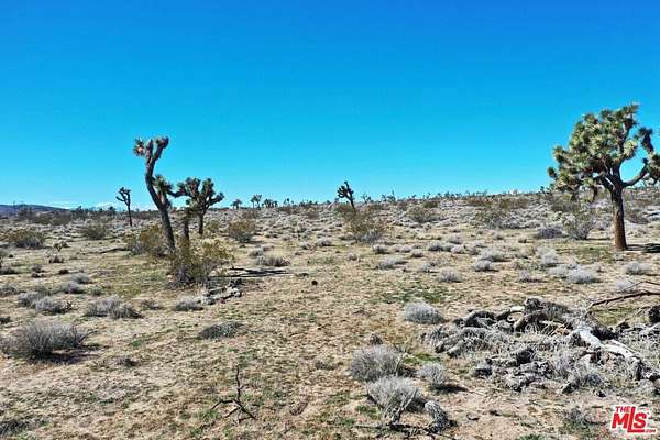 20 Acres of Recreational Land for Sale in Joshua Tree, California