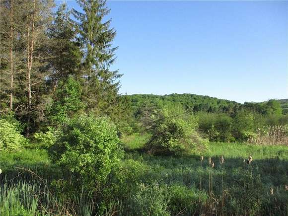 10 Acres of Residential Land for Sale in Smyrna, New York