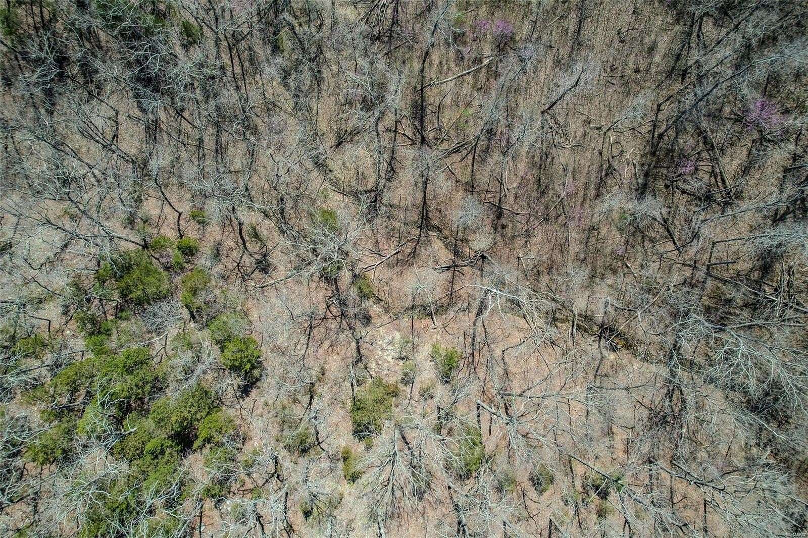 3.13 Acres of Land for Sale in Richland, Missouri