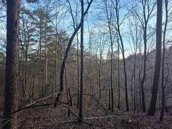 1.56 Acres of Residential Land for Sale in Ranger, Georgia