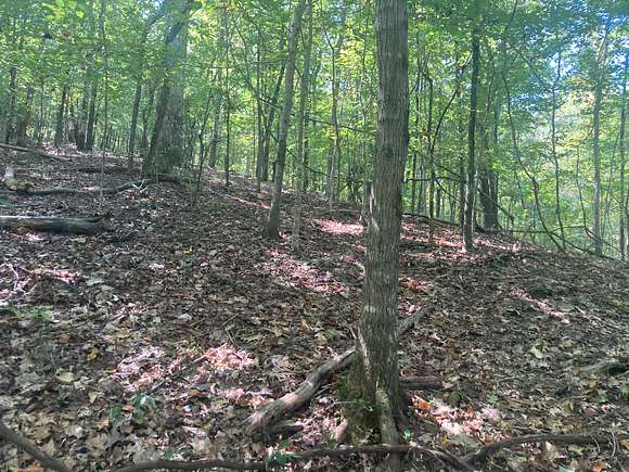 3.33 Acres of Residential Land for Sale in Jacksons' Gap, Alabama