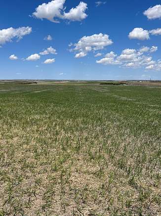 379 Acres of Recreational Land & Farm for Sale in Yoder, Wyoming