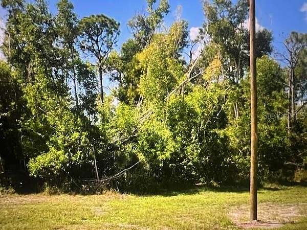 0.24 Acres of Residential Land for Sale in Cape Coral, Florida