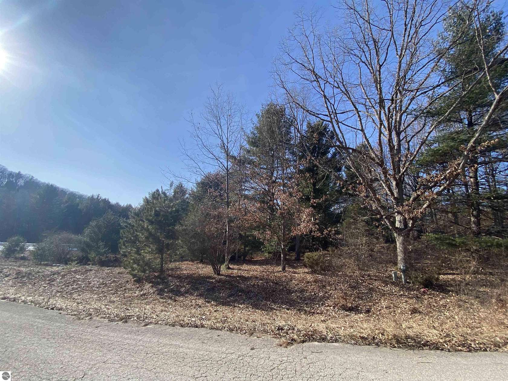 0.42 Acres of Land for Sale in Williamsburg, Michigan