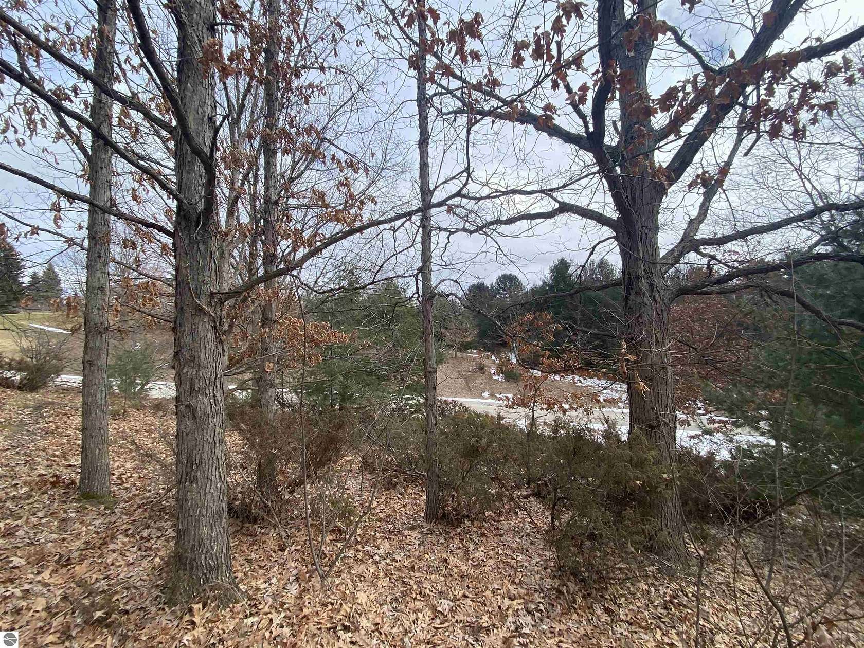 0.4 Acres of Land for Sale in Williamsburg, Michigan