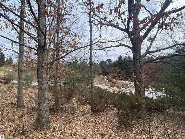 0.4 Acres of Land for Sale in Williamsburg, Michigan