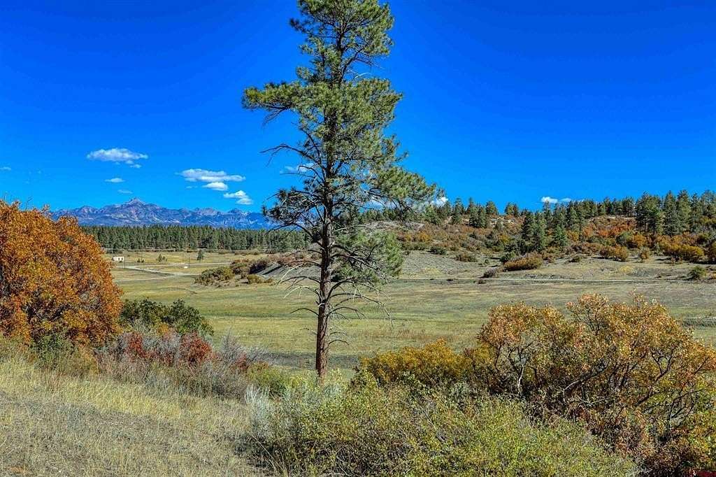 103 Acres of Land for Sale in Pagosa Springs, Colorado