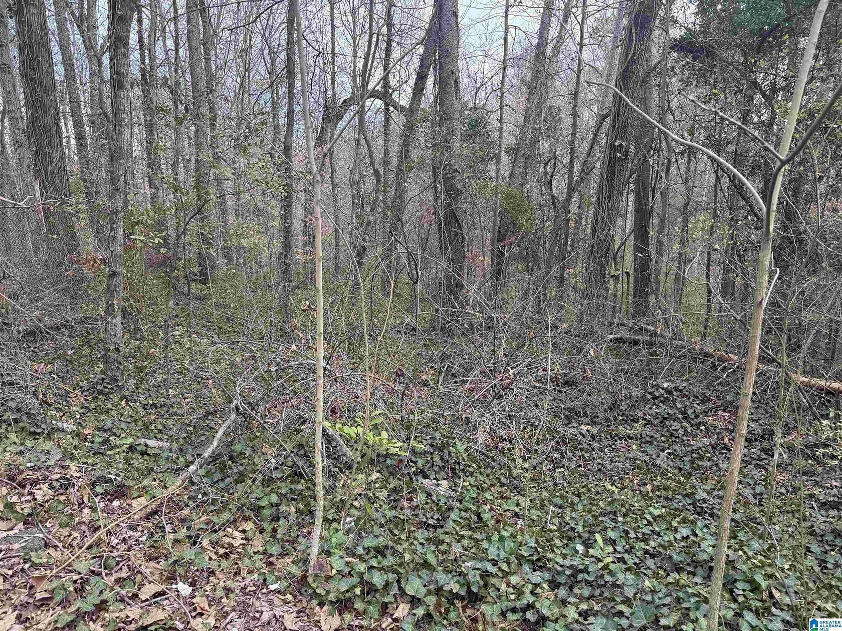 0.33 Acres of Residential Land for Sale in Birmingham, Alabama