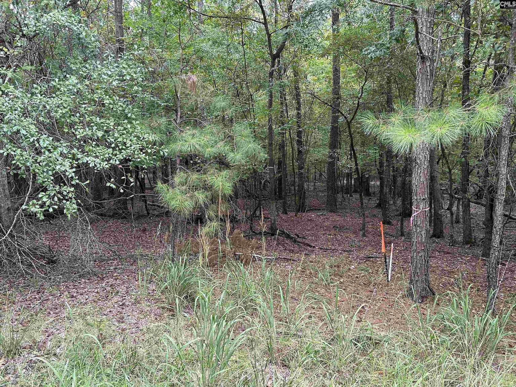 1.1 Acres of Residential Land for Sale in Batesburg, South Carolina