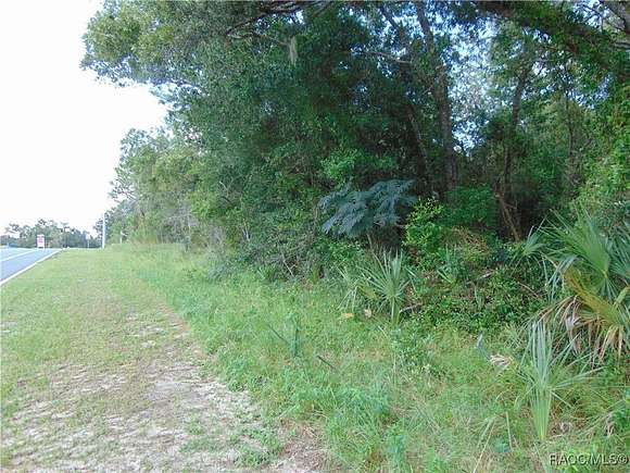 3.43 Acres of Commercial Land for Sale in Citrus Springs, Florida