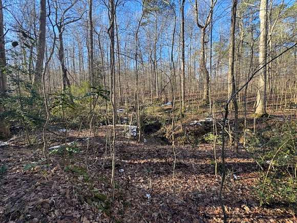 10 Acres of Residential Land for Sale in Stockbridge, Georgia