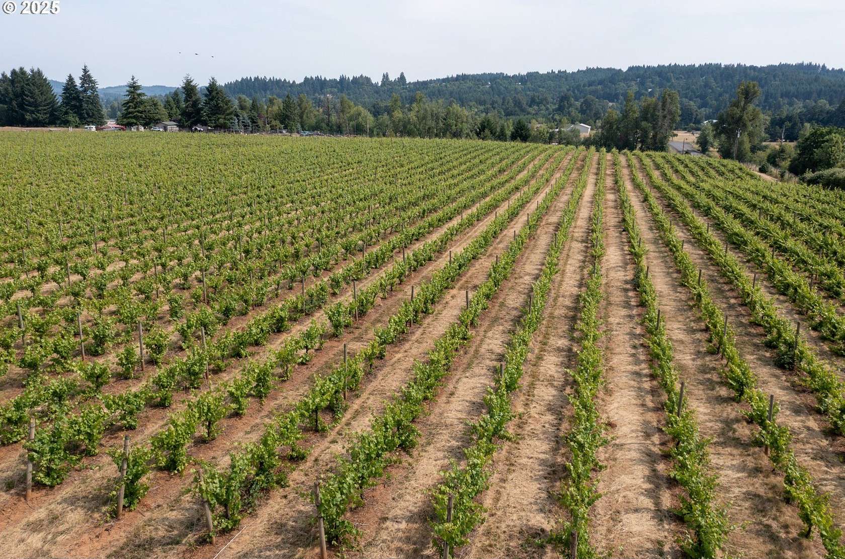 37.2 Acres of Agricultural Land for Sale in Dallas, Oregon