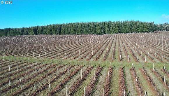 37.22 Acres of Agricultural Land for Sale in Dallas, Oregon