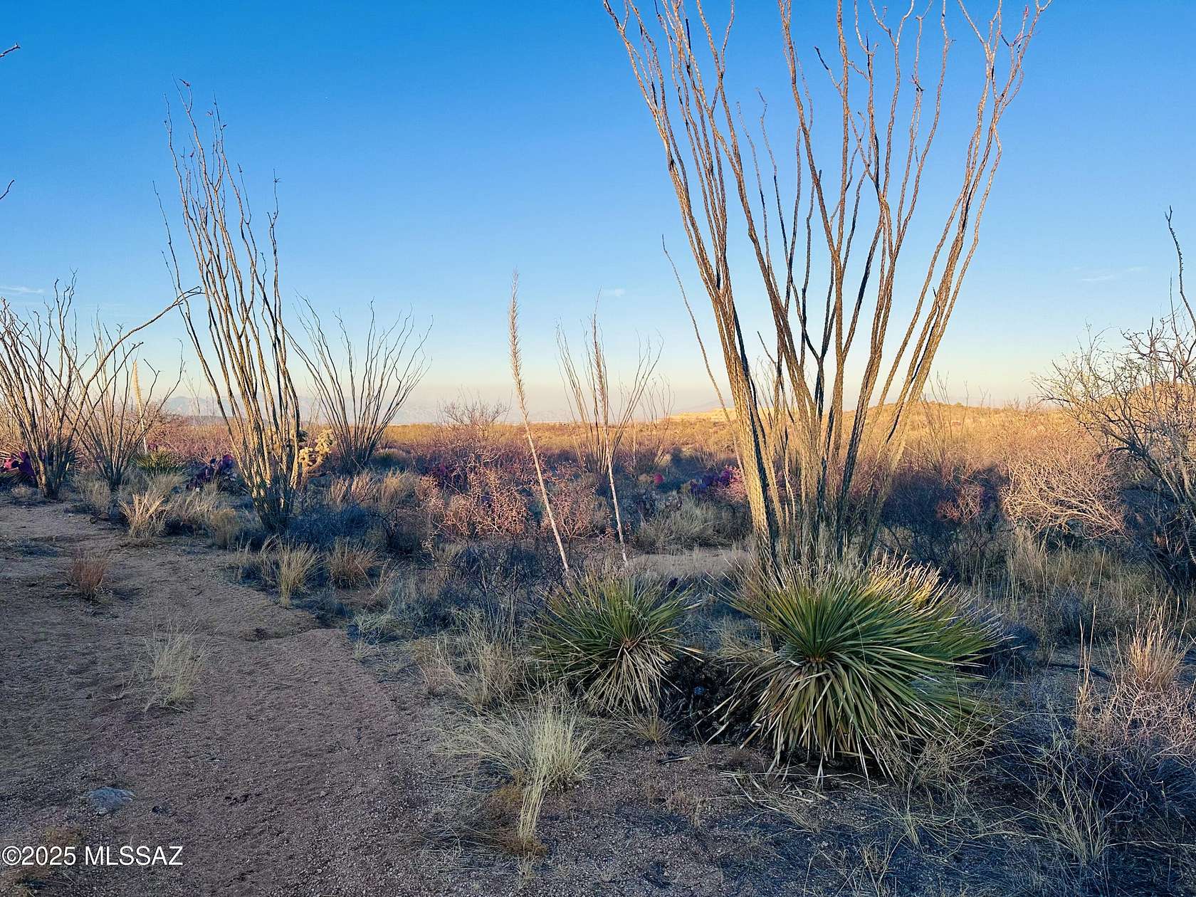 30 Acres of Land for Sale in Sahuarita, Arizona