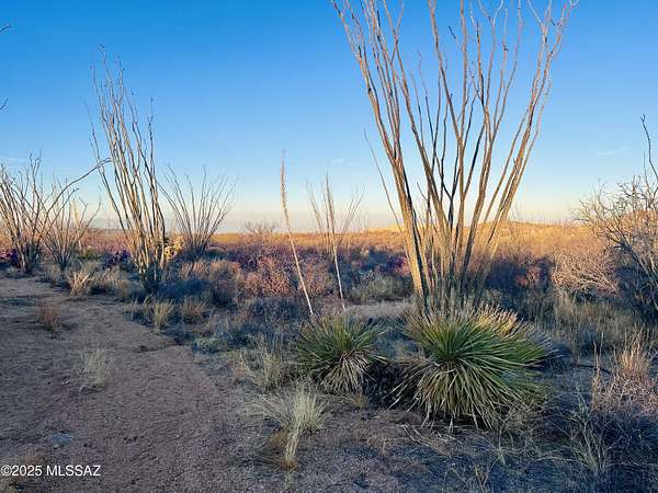 30 Acres of Land for Sale in Sahuarita, Arizona