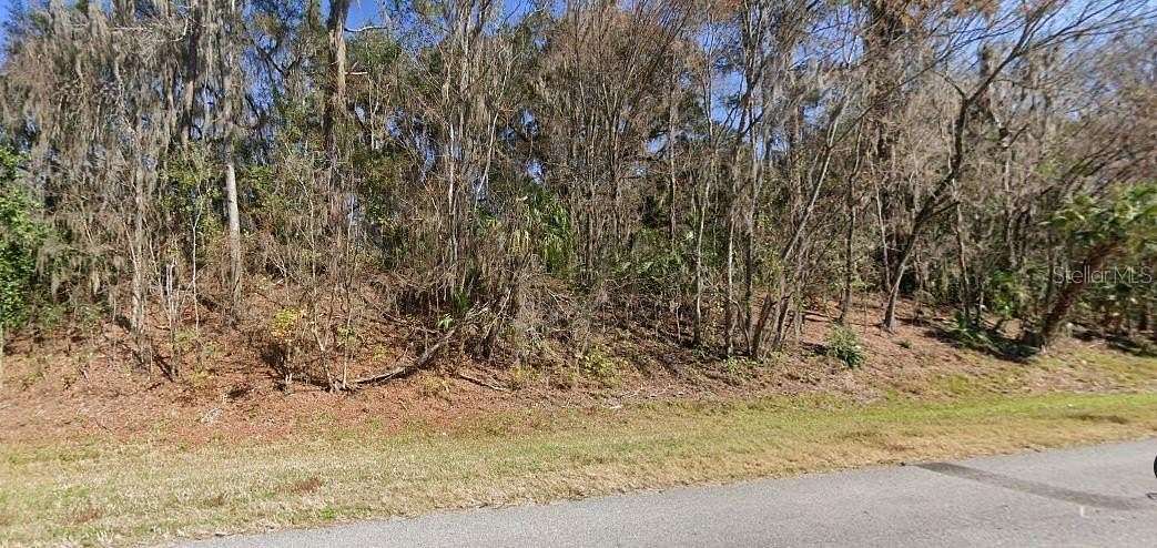 2.19 Acres of Residential Land for Sale in Micanopy, Florida