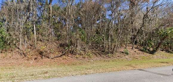 2.19 Acres of Residential Land for Sale in Micanopy, Florida