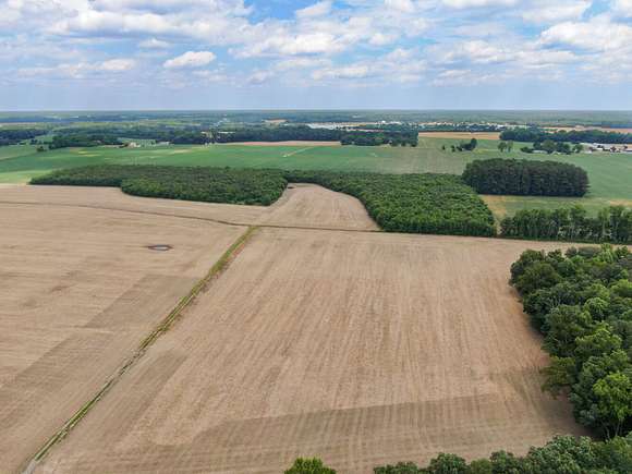 91.61 Acres of Land for Sale in Georgetown, Delaware