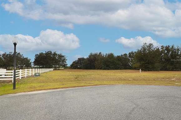 3.22 Acres of Residential Land for Sale in Tavares, Florida