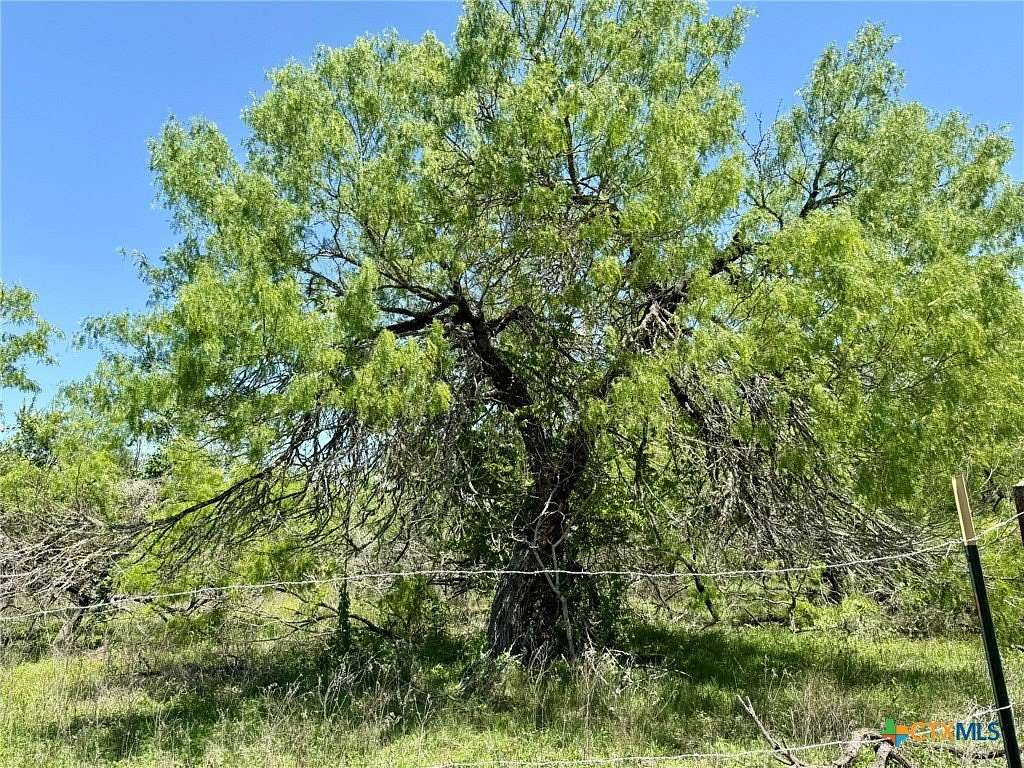 1 Acre of Residential Land for Sale in Lockhart, Texas