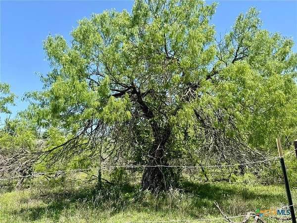 1 Acre of Residential Land for Sale in Lockhart, Texas