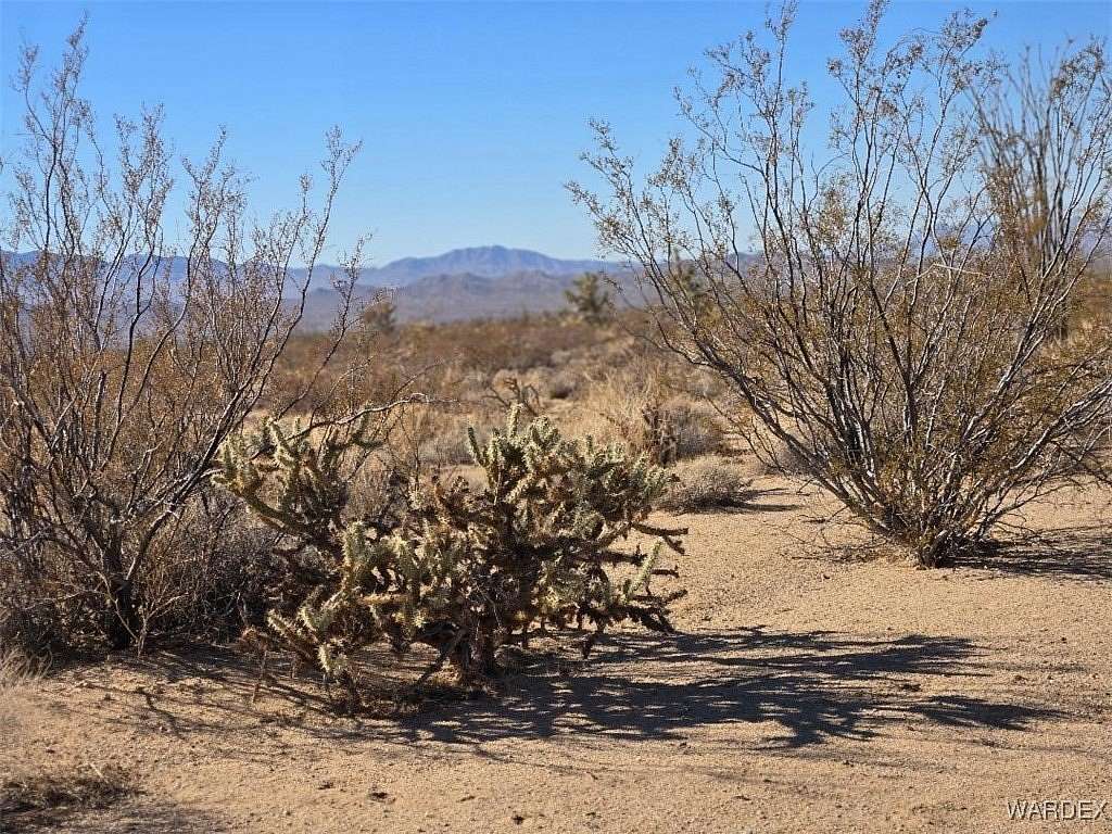 38.3 Acres of Recreational Land for Sale in Yucca, Arizona